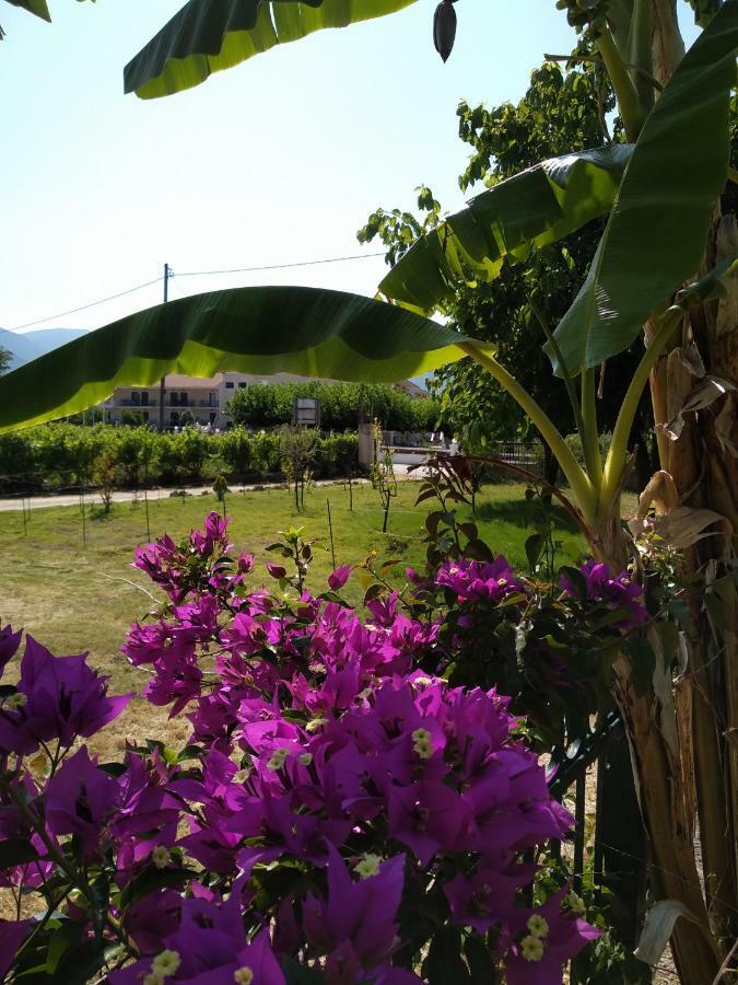 Rosegarden Villa Sami  Exterior photo